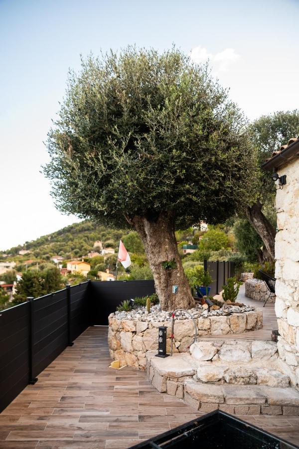 Le Petit Jardin Exotique Villa Beausoleil Exterior photo